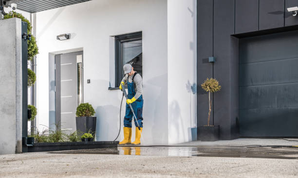 Best Driveway Pressure Washing  in Arbuckle, CA